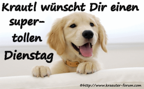 An den Beitrag angehängtes Bild: http://www.kraeuter-forum.com/blumen/wochentage/hundedienstag.gif