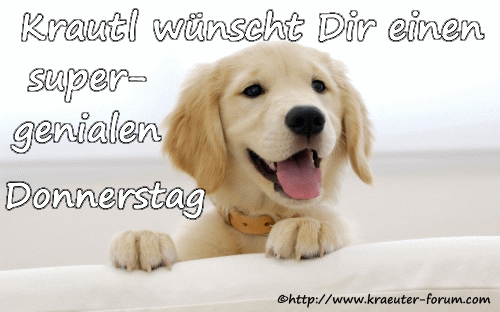 An den Beitrag angehängtes Bild: http://www.kraeuter-forum.com/blumen/wochentage/hundedonnerstag.gif