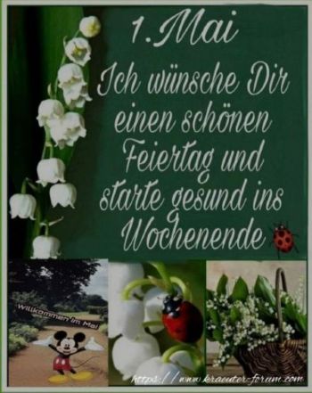 An den Beitrag angehängtes Bild: https://www.kraeuter-forum.com/blumen/Mai.jpg