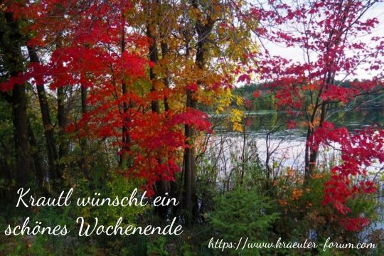 herbstGB.jpg